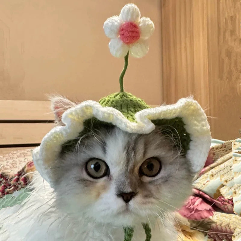 Pawstrip Flower Design Adjustable Cat Hat For Cats And Dogs