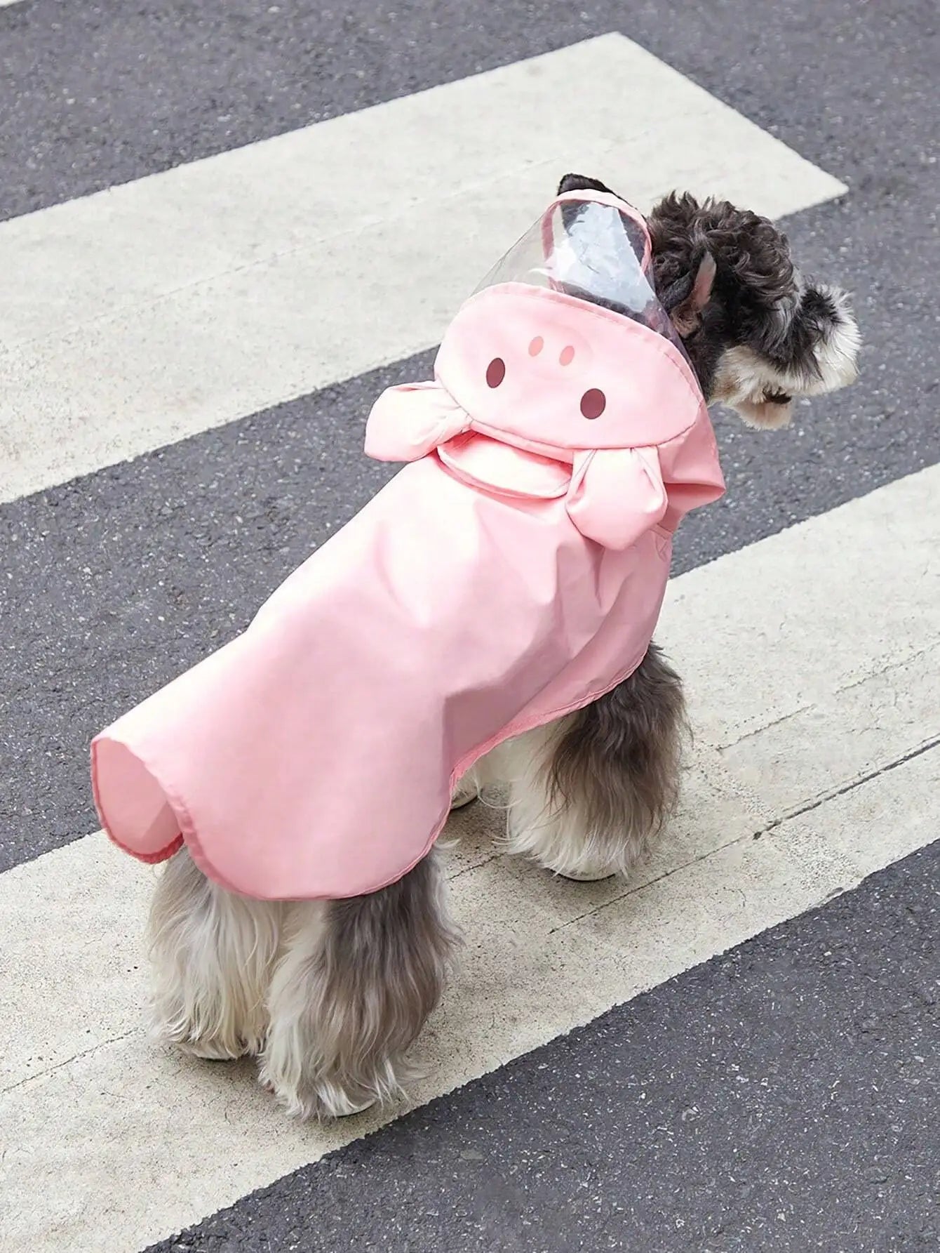 PETSIN Hooded Pet Raincoat Waterproof Cartoon Bear Design