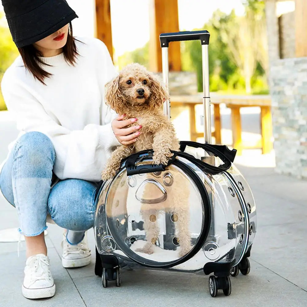 Pet Trolley Case With Ventilation Holes For Cats Silent Wheels