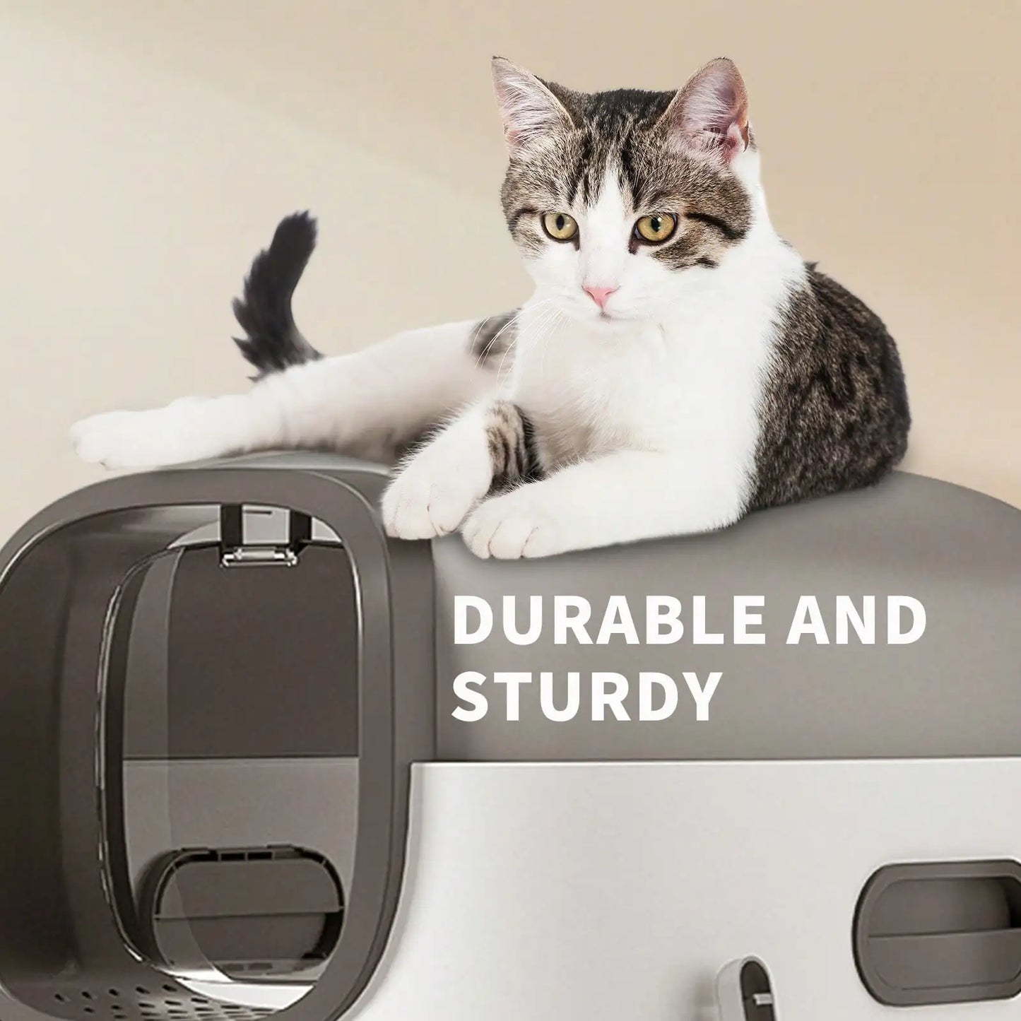 Foldable Enclosed Cat Litter Box With Lid And Scoop